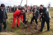 Экс-президент Украины сажает деревья. Ивано-Франковская область, 2007г.